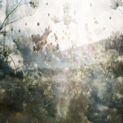 останусь + ristling