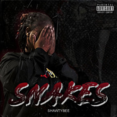 shawtybee im shawtybee  (1).m4a