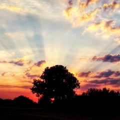 The Way We Departed I: Twilight