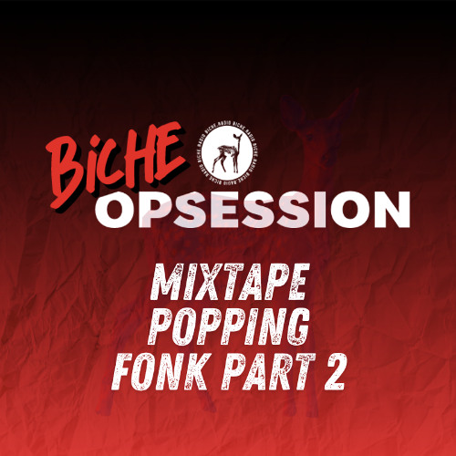 MIXTAPE BICHE OPSESSION - FONK PART 2