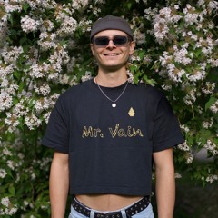 Mr.Vain [Pedacash Edit]