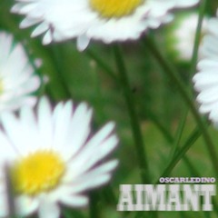 AIMANT