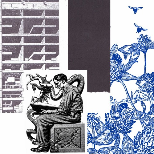 Cebe Barnes - Soften Up