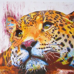 What So Not - Jaguar (Socia Edit)