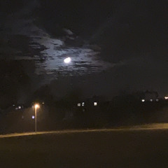 Nachtschicht