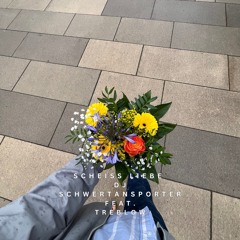 SCHEISS LIEBE - DJ SCHWERTRANSPORTER feat. treblow