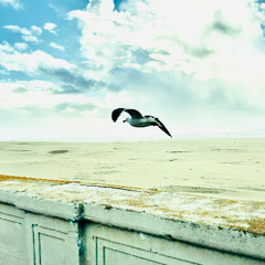 Break or Bend