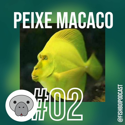 FISH BOI - PEIXE MACACO #2