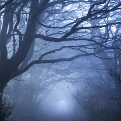 The Ghost