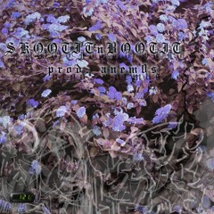 SkootitnBootit (prod. anem0s)