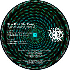 Premiere: A1 - Mihai Pol - Walking In Chicago [HYPN002]