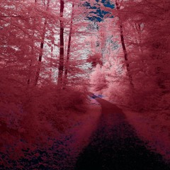 Running Up That Hill Cover - Instrumental