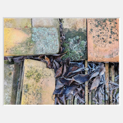 Képeshang #84 - Nagy Ani és Majsai-Németh Zsolt