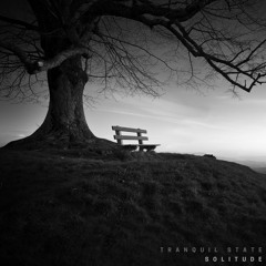 Solitude