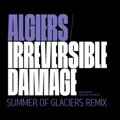 #algiersgotshook - Summer of Glaciers Remix - Irreversible Damage