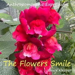 Anthropomorphic Expressions – The Flowers Smile
