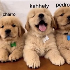 dinheiro de moneywash xD (w/charro,pedroml)