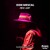 Artwork for Don Mescal @ Frog Camp • Burning Man 2023 •