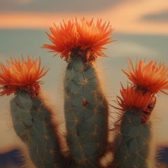 Cactus Heart