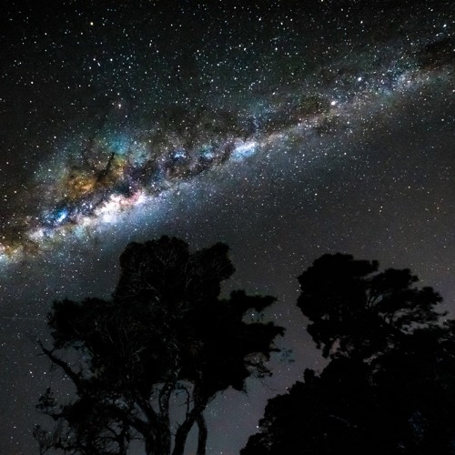 Heavenly lights.