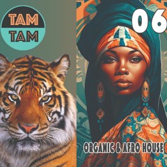 TAM TAM 06 | Organic House & Afro House