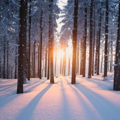 Emotional Winter (Demo)