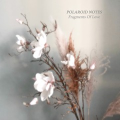 Polaroid Notes - Fragments Of Love EP (Piano Day 2024)