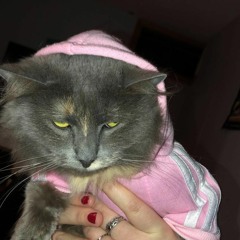 lifes -prod Ilovechris