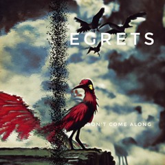 [Premiere] egrets - Don't Come Along (out now)