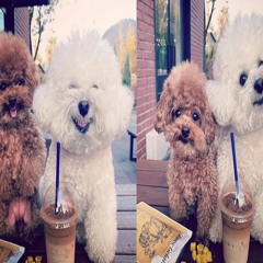 miley cyrus feat. vanta