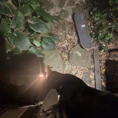 psychotic ft. bilbrosebagginz (prod. fox5)