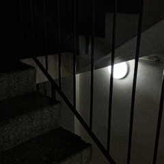 без лишних слов