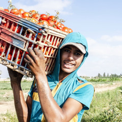 Youth seize the day in new food production report