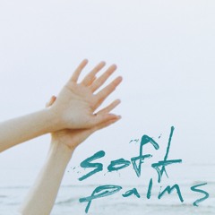 Soft Palms - Rainbows