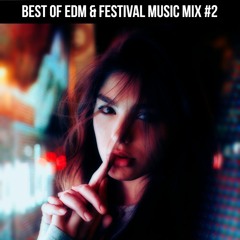 Best Of Edm & Festival Music Mix #2 (Mix By Beatshoundz)