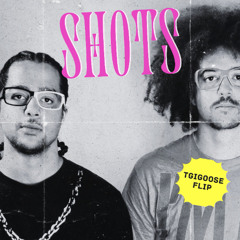 LMFAO - Shots (TGIGOOSE Flip)