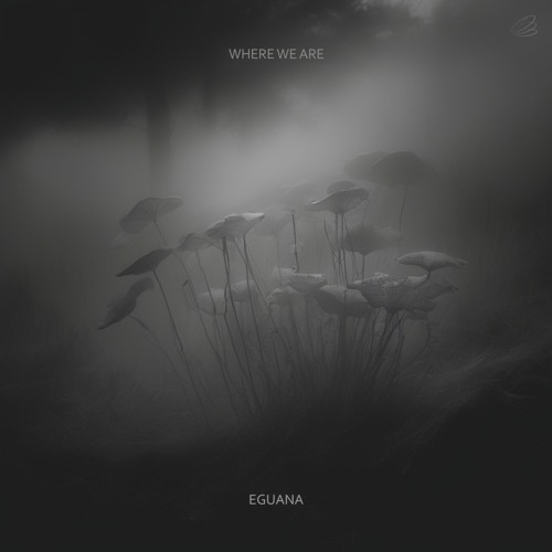 Where We Are (Original Mix)