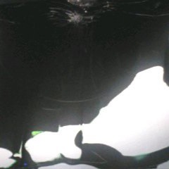 Don't Forget Your Shadow (Demo)