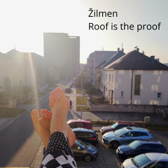 Roof is the proof