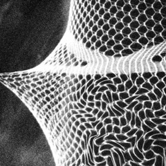 veil of noise