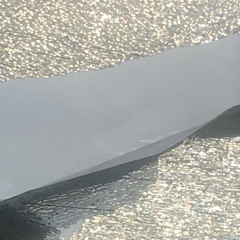 NO APPETITE ft. Tajin, BoDo