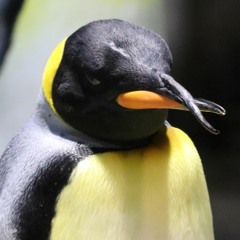 雲雀東風 アレンジ ベースレス