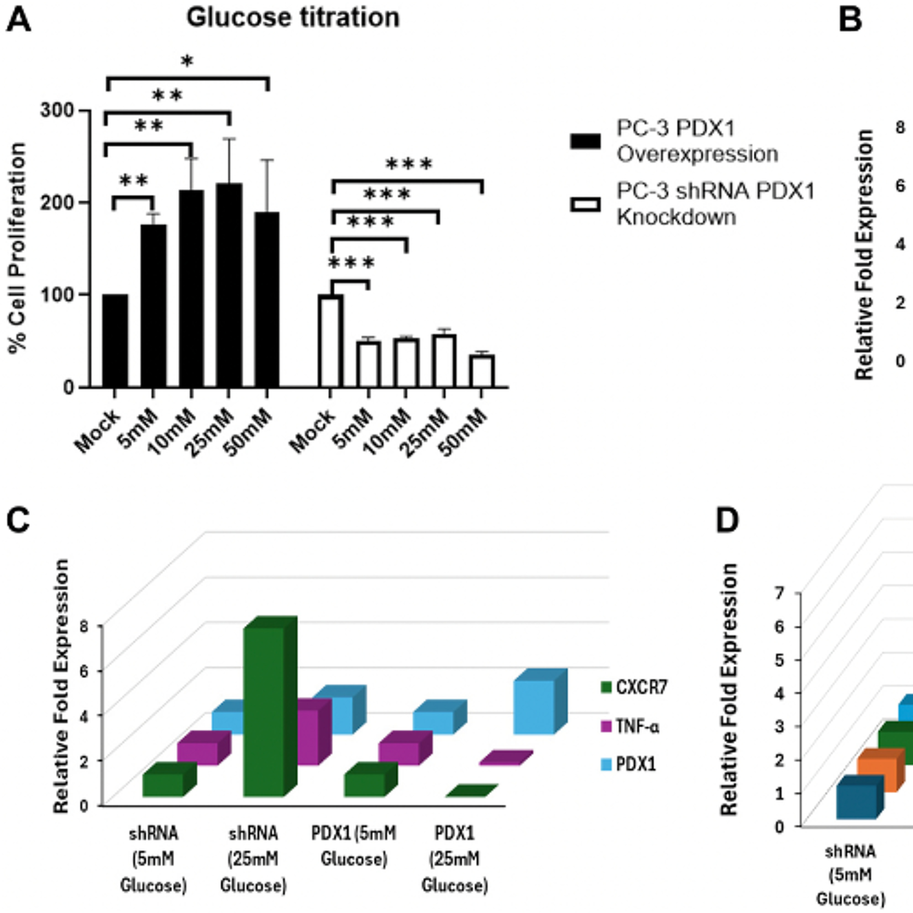 Epigenetic Dysregulation of PDX1 Drives Prostate Cancer Progression