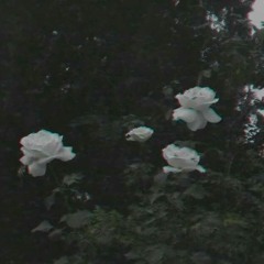 Stream 𝔡𝔢𝔣𝔲𝔧𝔦 music | Listen to songs, albums