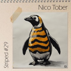 Striped #29 - Nico Tober