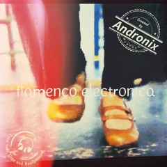 Flamenco Electronica