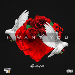 Solo Tyree - I Want You