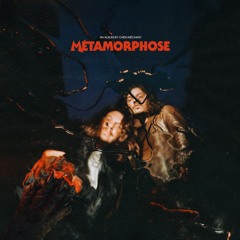 Chien Méchant - Métamorphose