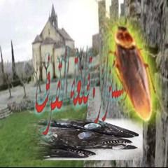 Русский ;^