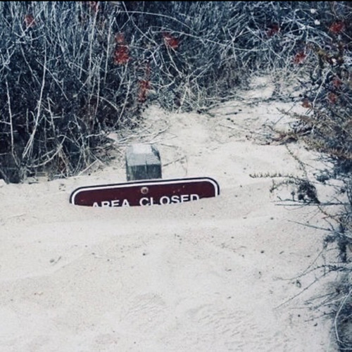 letter scraps from a hole in the ground (neverforever)